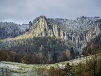 Kleine Gans mit Herbstschnee Kleine Gans mit Herbstschnee